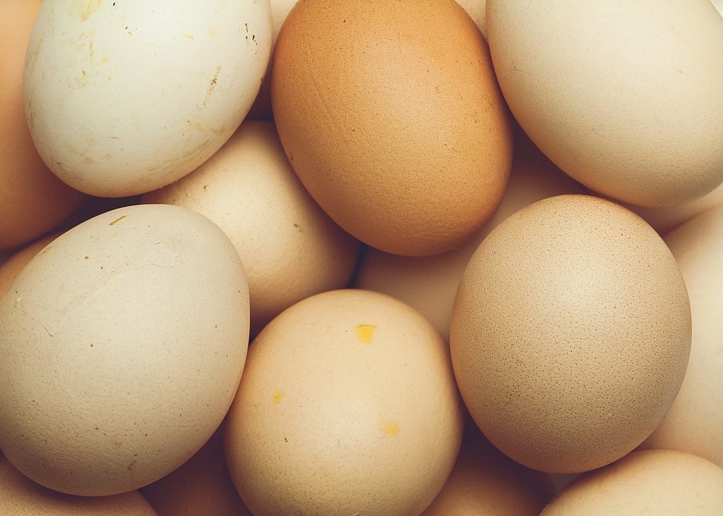 Poultry & Livestock
