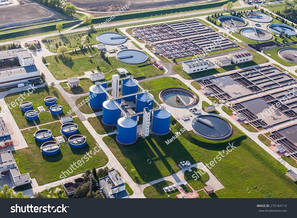 Government & Municipal