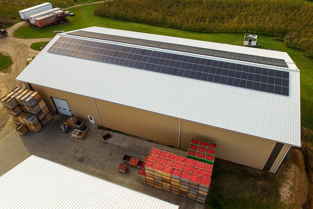 Rooftop solar on an orchard packing facility, west Michigan